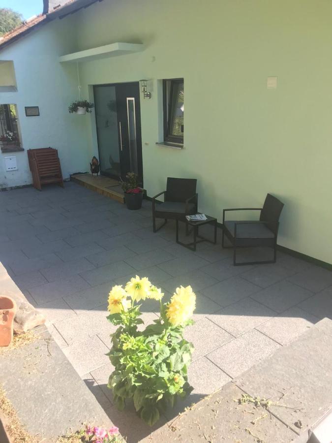 Ferienhaus Kylltal Βίλα Zemmer Εξωτερικό φωτογραφία